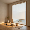 Light Filtering Roller Shades - 1